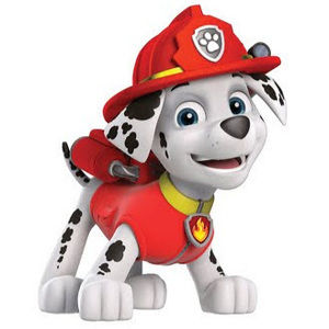 Meet your Posher, Allie